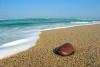 Ocean Dead Zones
