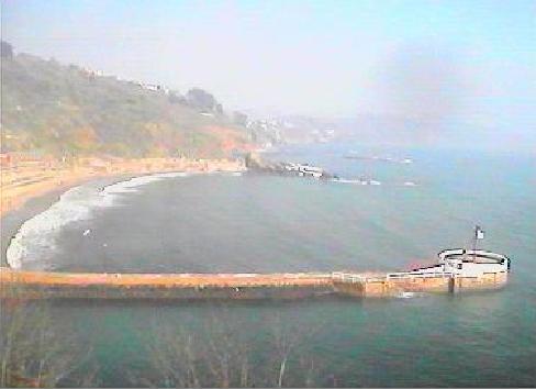 Webcam