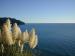 Waihi Beach Top10 Holiday Park