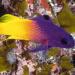 Key West Aquarium