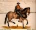 Horseback Riding