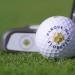 Golf at Parque da Floresta