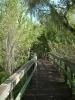 Crowley Museum & Nature Center