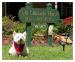Old Gratitude House Bed & Breakfast