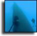 Sunreef Scuba Diving Services