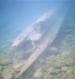 Thunder Bay Scuba