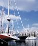 Zea Marina