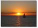 Sunset Concert Cruises