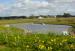 Mabie Farm Park