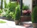 SilverBirch Suites