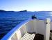 Palm Beach and Hawkesbury River Cruises