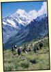 Active New Zealand