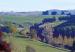 Holmes Hill Motel