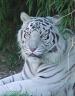 Louisiana Purchase Gardens and Zoo