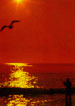Sea Isle Inn