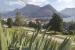Tassino