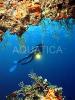 Sliema Diving Center and Shop