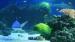Aquaria Water Museum