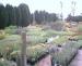 Blakeney House Nurseries