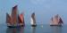 Brixham Heritage Sailing