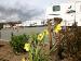 Thunderbird RV Park