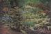 Hayes Garden World