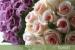 Forget Me Not Floral