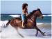 Pegasus Park Equestrian Centre