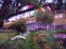 The Artists House 