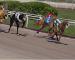 Seabrook Greyhound Park
