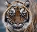 Tierpark Berlin Zoo