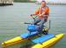 Kayak the Bay