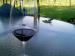 Stescher Krommer Vineyards