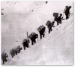 Packer Expeditions