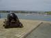 Pembroke Haven Yacht Club