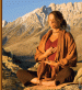 The Bodhi Tree