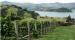 French Farm Winery