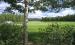 Mountain View Golf