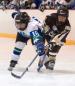Apple Valley Hockey Association
