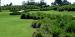 Polo Trace Golf Club 