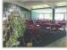 The Sylvan Lake Golf & Country Club