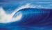 Cinnamon Rainbows Surf Company