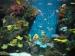 Aquarium of Western Australia