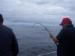 Doongara Fishing Charters