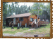 Winoga Lodge