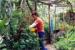 Permaculture Nursery
