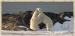 Lazy Bear Lodge