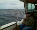 Kimars Charters