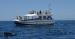 Spirit of the Sea