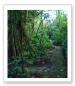 Arenal Lodge